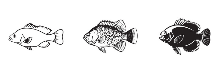Freshwater Bass Fish Vector Silhouette with Bold Profile and Spiny Fins. set