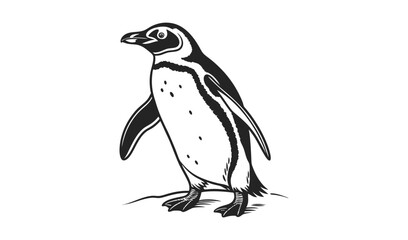 Fototapeta premium Black and white sketch of a standing penguin on a rocky surface