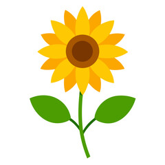 Sunflower with green leaf vector on white background.
