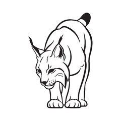 Stylish Lynx Line Art – Lynx Vector Illustration Sleek Drawing with Short Tail and Strong Legs – Lynx Drawing – Line Art Drawing of Lynx – Lynx Icon


