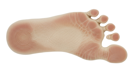 Isolated human foot sole