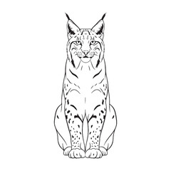 Minimal Lynx Line Art – Lynx Vector Illustration Artistic Drawing with Balanced Wildlife Anatomy – Lynx Drawing – Line Art Drawing of Lynx – Lynx Icon

