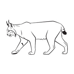 Modern Lynx Line Art – Lynx Vector Illustration Clean Drawing with Sleek Predator Form – Lynx Drawing – Line Art Drawing of Lynx – Lynx Icon

