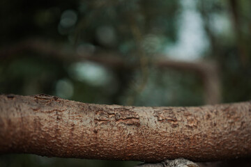 rusty old rusty metal