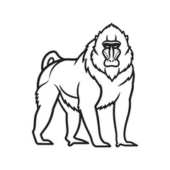 Sturdy Mandrill Line Art – Mandrill Vector Outline Drawing with Recognizable Limb Definition – Mandrill Drawing – Vector of Mandrill – Mandrill Outline

