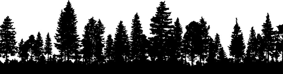 Fototapeta premium Conifer Forest Silhouette Border Vector