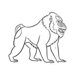 Elegant Mandrill Line Art – Mandrill Vector Illustration Artistic Drawing with Refined Primate Structure – Mandrill Drawing – Line Art Drawing of Mandrill – Mandrill Icon

