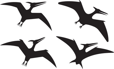 flying pterodactyl silhouette graphics for paleontology presentations posters icons and web design ai eps jpeg png