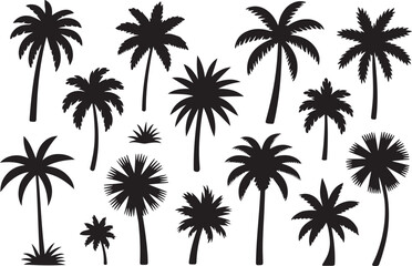 tropical palm and coconut trees vector illustration for summer beach design background decorative botanical element