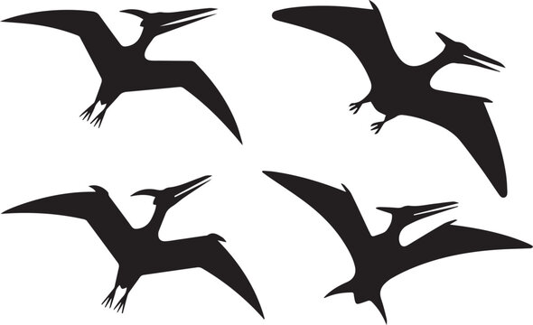 flying pterodactyl silhouette graphics for paleontology presentations posters icons and web design ai eps jpeg png