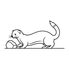 Detailed Mink Line Art – Mink Vector Artistic Outline Drawing with Streamlined Body – Mink Drawing – Vector of Mink – Mink Outline

