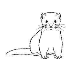 Agile Mink Line Art – Mink Vector Illustration Modern Drawing with Smooth Curved Shape – Mink Drawing – Line Art Drawing of Mink – Mink Icon

