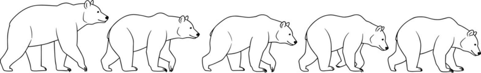Bear walking sequence, wildlife gait analysis, animal locomotion study, nature illustration, educational vector art, silhouette movement, forest creature animation design