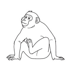 Expressive-Faced Monkey Line Art – Monkey Vector Refined Drawing with Distinctive Profile – Monkey Drawing – Vector of Monkey – Monkey Outline

