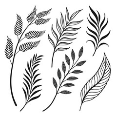 Obraz premium feathers seamless background