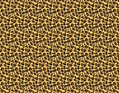 PARAGON PICTURE GALLERY 豹　ヒョウ柄　額 豹柄 Images – Browse 713 Stock Photos, Vectors, and Video