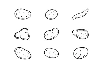 Various potato shapes and forms line art potatoes root vegetable