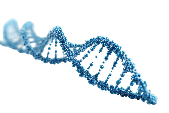 3D illustration of a DNA strand.  Light-blue,  detailed  double helix  with  darker  blue  bases.  Abstract,  scientific,  isolated