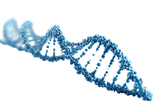 3D illustration of a DNA strand.  Light-blue,  detailed  double helix  with  darker  blue  bases.  Abstract,  scientific,  isolated