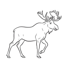 Modern Moose Line Art – Moose Vector Illustration Elegant Drawing with Balanced Anatomy – Moose Drawing – Line Art Drawing of Moose – Moose Icon

