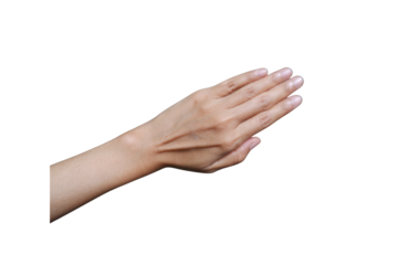 Close-Up of a Hand with Transparent Background Depicting Natural Skin Texture