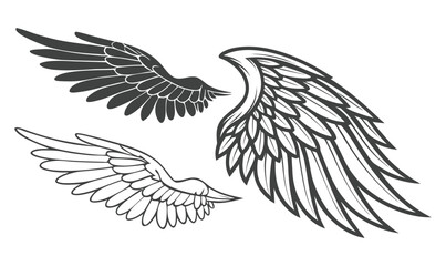 Angel Wings Vector Set – Detailed Bird Wing Outline and Feather Design