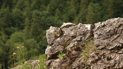 Skały widoczne podczas górskich wędrówek © tomo81