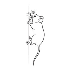 Compact Mouse Line Art – Mouse Vector Outline Drawing with Balanced Rounded Ears – Mouse Drawing – Vector of Mouse – Mouse Outline

