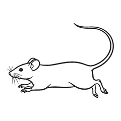 Modern Mouse Line Art – Mouse Vector Illustration Minimal Drawing with Elegant Style – Mouse Drawing – Line Art Drawing of Mouse – Mouse Icon

