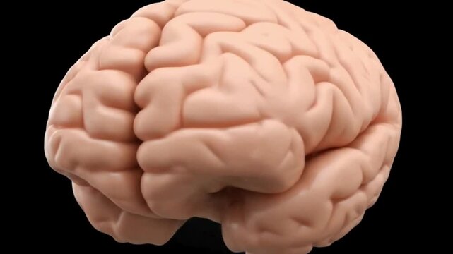 Science Video Footage
