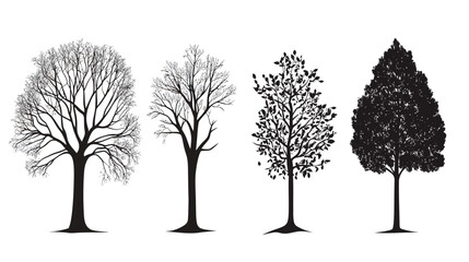 Obraz premium Fall Tree Vector Silhouette – Autumn Tree Graphic Design