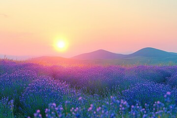 Fototapeta premium field glowing under warm pastel sunset with rolling hills in background