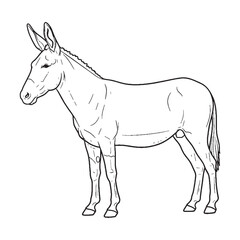 Agile Mule Line Art – Mule Vector Artistic Drawing with Defined Mane and Tail – Mule Drawing – Vector of Mule – Mule Outline


