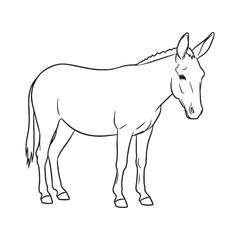 Graceful Mule Line Art – Mule Vector Clean Outline Drawing with Defined Long Ears – Mule Drawing – Vector of Mule – Mule Outline

