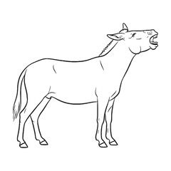 Detailed Mule Line Art – Mule Vector Illustration Fine Drawing with Hybrid Equine Traits – Mule Drawing – Line Art Drawing of Mule – Mule Icon

