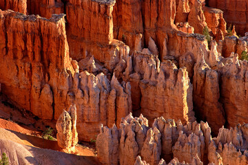 Hoodoos at Inspiration Point, Bryce Canyon Utah USA