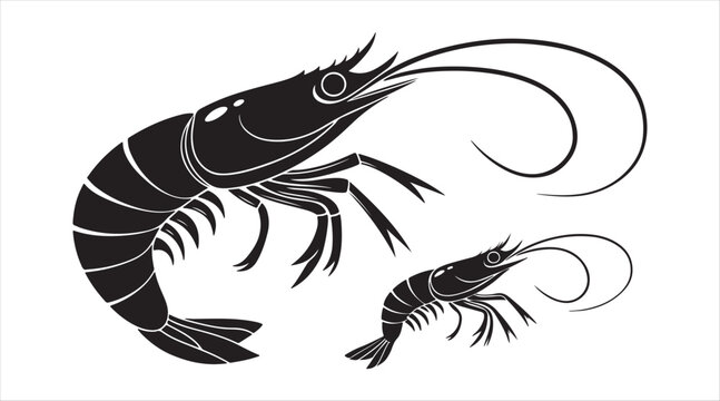 black shrimp silhouettes on white background clip art preview