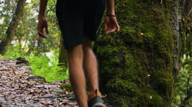 A hiker in the forest along the Buda Madmaheshwar Temple trail, Rudraprayag, Uttarakhand, India.