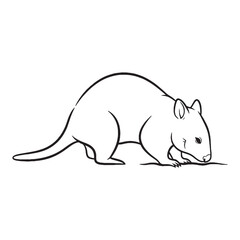 Elegant Numbat Line Art – Numbat Vector Illustration Artistic Drawing with Unique Long Snout – Numbat Drawing – Line Art Drawing of Numbat – Numbat Icon

