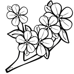 Apple Tree Branch with Flowers