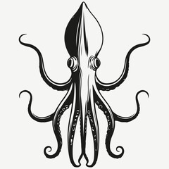 squid sketch illustration vector