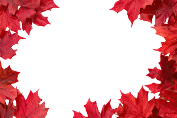 Red autumn leaves frame a black void