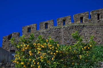 Fototapety na wymiar - Fototapeta24.pl