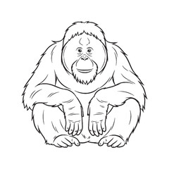 Relaxed Orangutan Line Art – Orangutan Vector Fine Line Drawing with Refined Sitting Shape – Orangutan Drawing – Black Vector of Orangutan – Orangutan Outline

