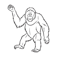 Giant Orangutan Line Art – Orangutan Vector Premium Drawing with Defined Long Arms – Orangutan Drawing – Black Vector of Orangutan – Orangutan Outline

