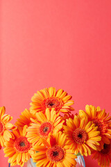 Gerbera chrysanthemums on a pink vertical background with space for text