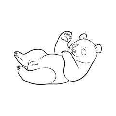 Chubby Panda Line Art Drawing – Panda Vector Illustration Detailed Drawing with Rounded Face and Body – Panda Drawing – Line Art Drawing of Panda – Panda Icon

