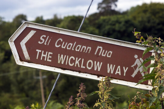 Signpost Wicklow way  showing the direction.