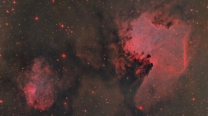 Cosmic Nebulae Duo, Red Emission and Dark Dust Clouds