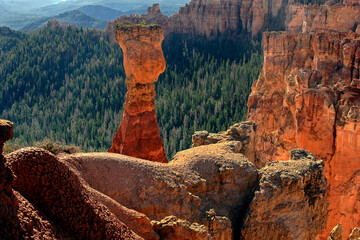 Pinnacle at Rainbow Point, Bryce Canyon Utah USA